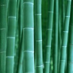 0_813b6_ba3dc791_XL
